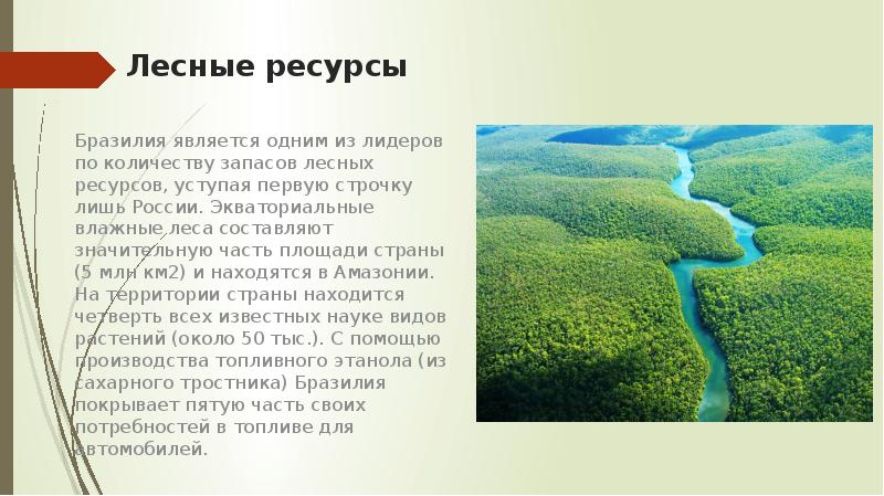 Какие ресурсы в бразилии. Лесные ресурсы Бразилии. Лесные ресурсы Бразилии карта. Лесные ресурсы Аргентины. Лесные ресурсы Мексики.