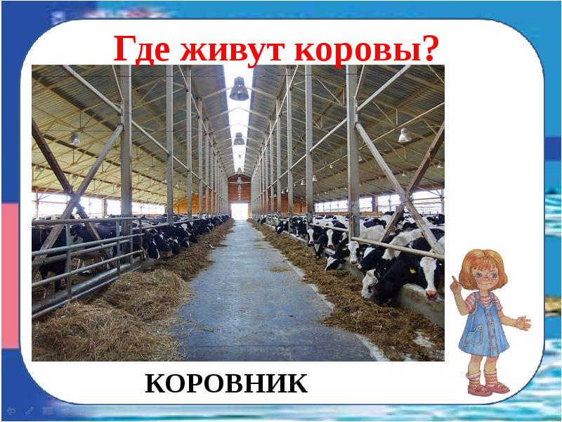 Где живет корова картинки для детей