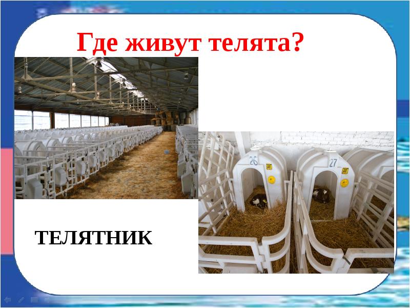 Умная ферма презентация