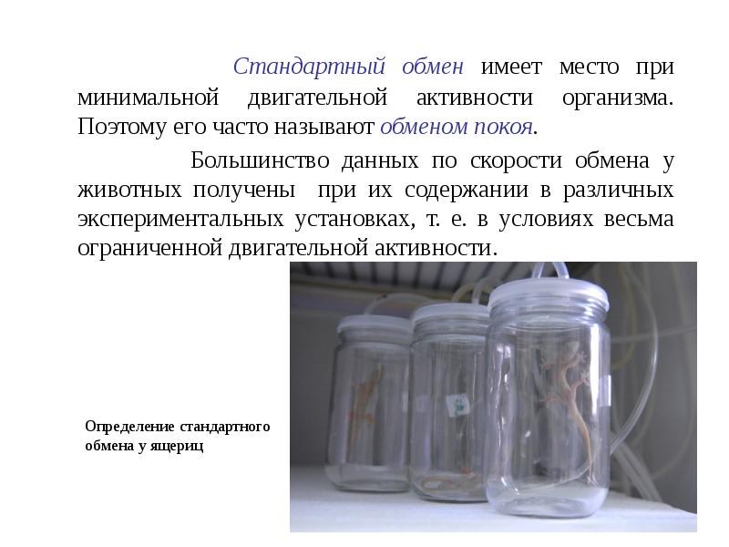 Имеет место. Обменной, называется вода. Обмен покоя у детей школьного возраста.