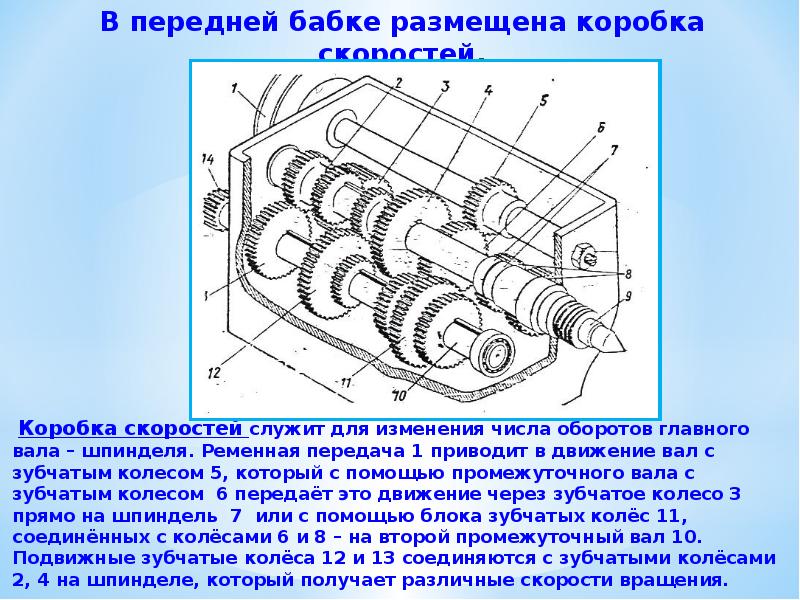 Находящимися деталями. Токарный станок тв7 чертеж передней бабки. Передняя бабка тв4 чертеж. Шпиндель передней бабки ТВ-7. Передняя бабка тв7м.