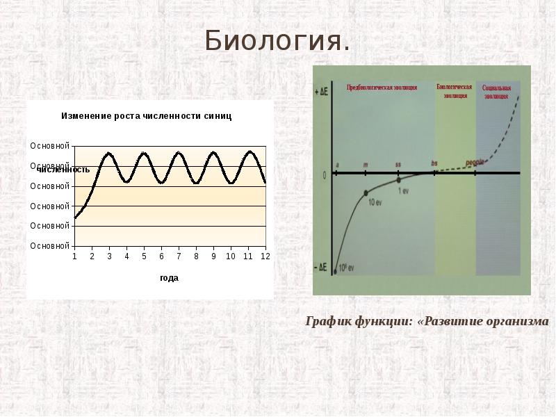 Применение функций в математике. Применение функций в математике