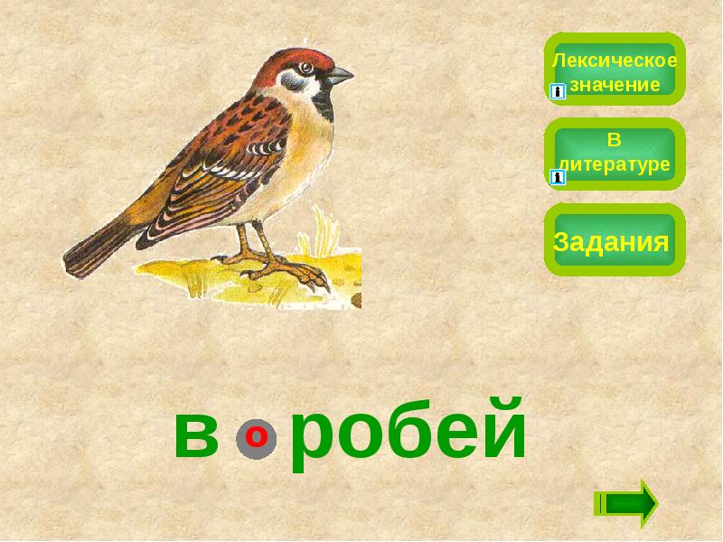 Лексическое значение задания. Лексическое значение слова степь. Робел лексическое значение. Лексическое значение слова пословица. Лексическое значение слова пейзаж.