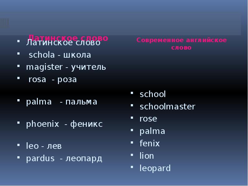 Какое латинское слово. Латинские слова. Латинский язык слова. Слова на латыни. Слова по латински.