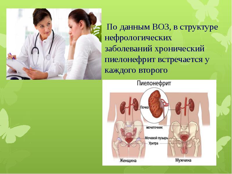 Хронический пиелонефрит презентация по терапии