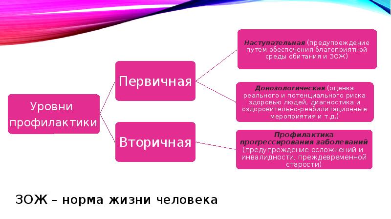 Частные учреждения презентация