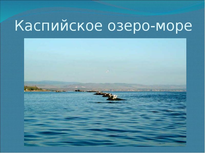 Почему каспийское озеро названо морем. Каспийское море озеро. Каспийское море соленое. Каспийское море пресное. Соленое озеро Каспийское море.