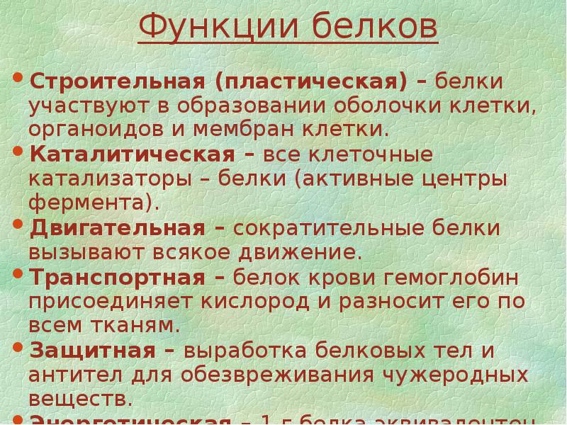 Нмо оболочка