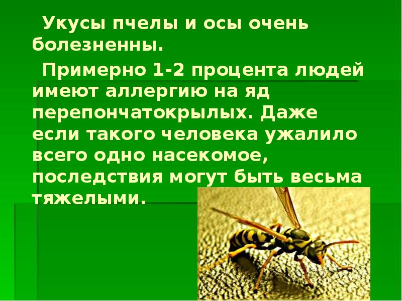 Обж 6 класс укусы насекомых и защита от них презентация