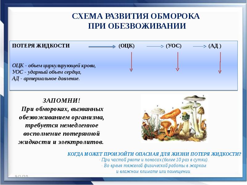 Дегидратация жидкостей. Первая помощь при дегидратации. Первая помощь при обезвоживание. Потеря сознания при обезвоживании. Алгоритм помощи при обезвоживании.