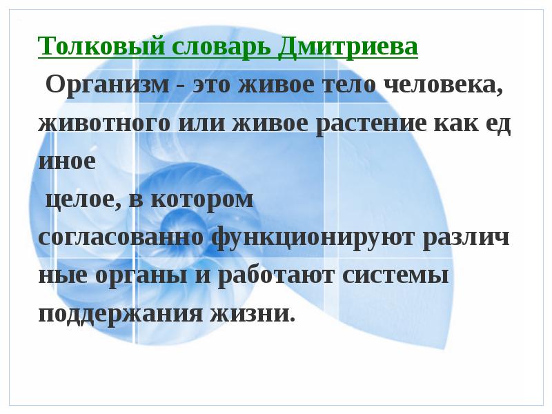 Система единое целое. Команда как единый организм. Человечество как едино цельная планетарная система кратко.