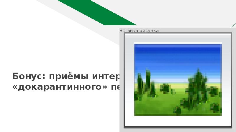 Бонус: приёмы интернет-мошенников «докарантинного» периода