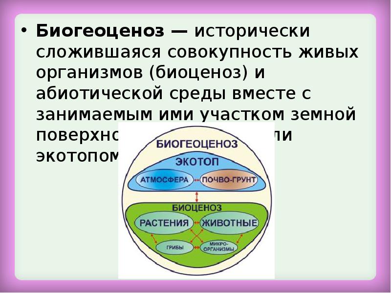 Биогеоценоз и экосистема презентация 9 класс