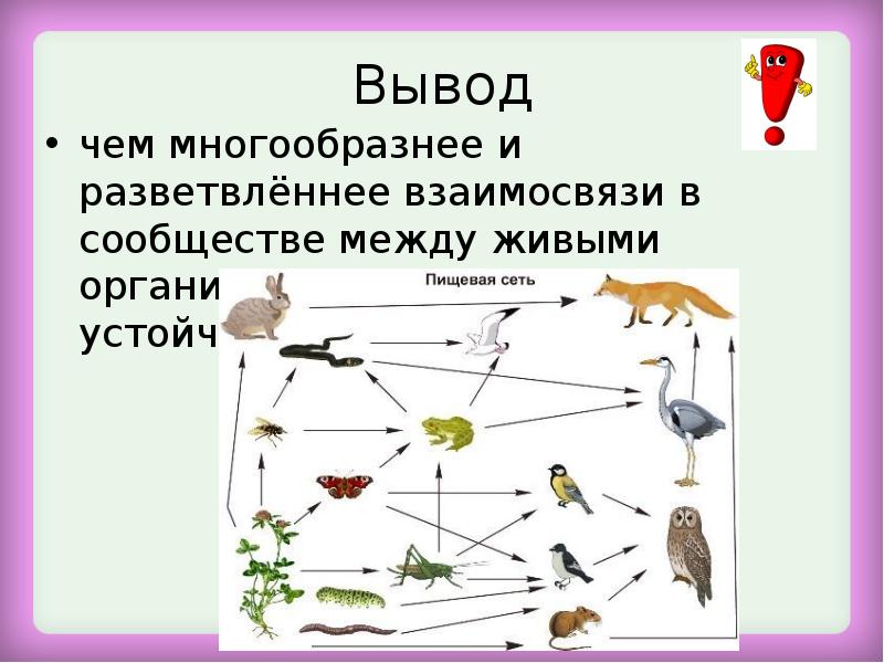 Взаимосвязи организмов в сообществе 5 класс презентация