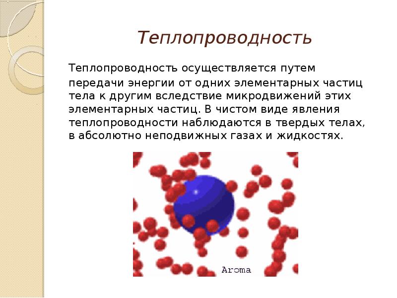 Частица организма