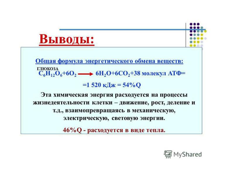 Энергетический обмен презентация 10 класс биология