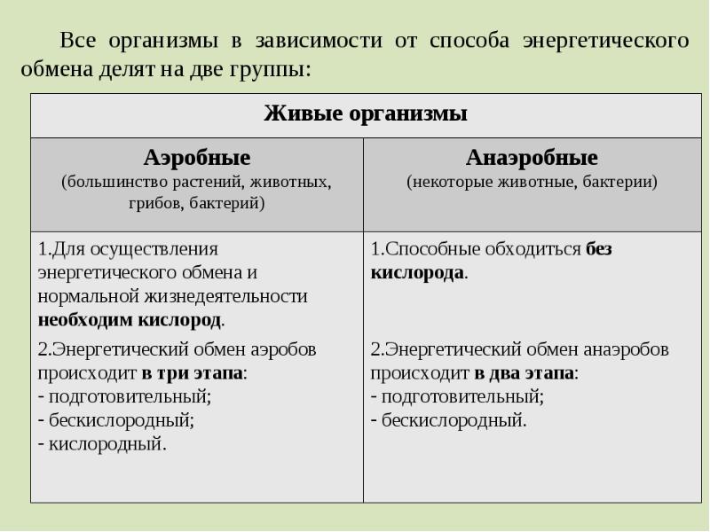 Презентация по теме энергетический обмен