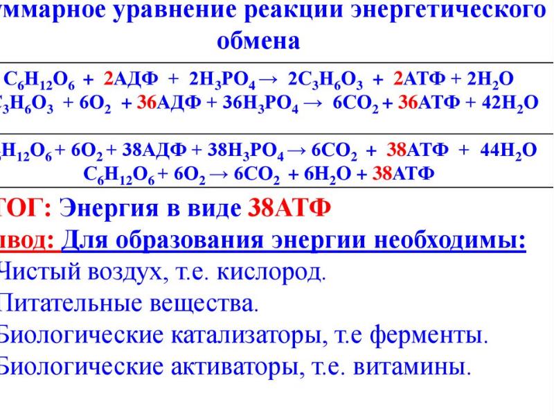 Энергетический обмен презентация