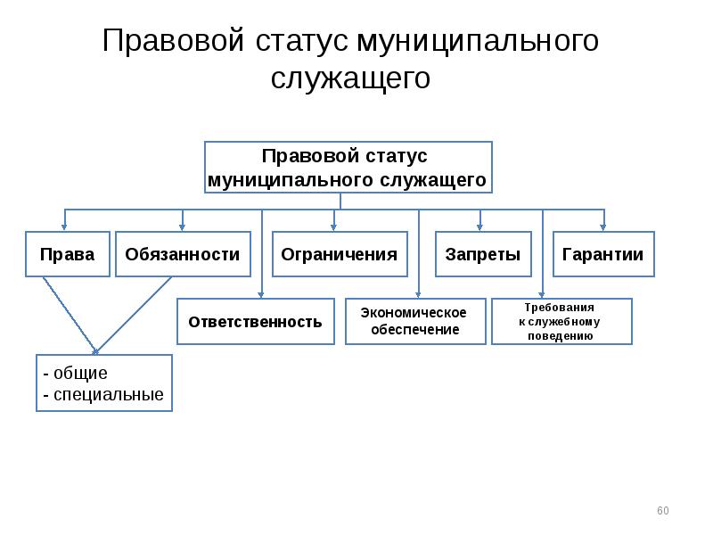 Правовой статус муниципального