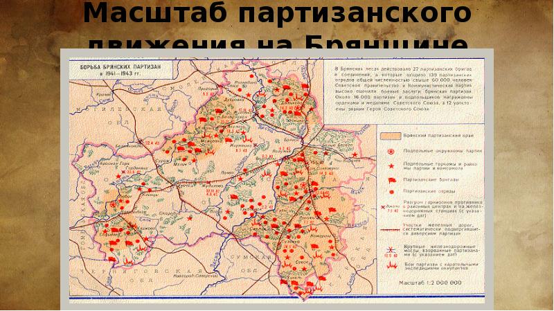 Проект партизаны беларуси