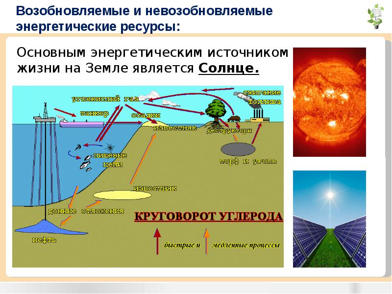 Возобновляемые природные ресурсы картинки