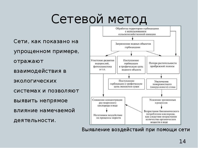 Метод сети. Методы ОВОС. Сетевой метод ОВОС. Метод сетей ОВОС. Метод списков в ОВОС.