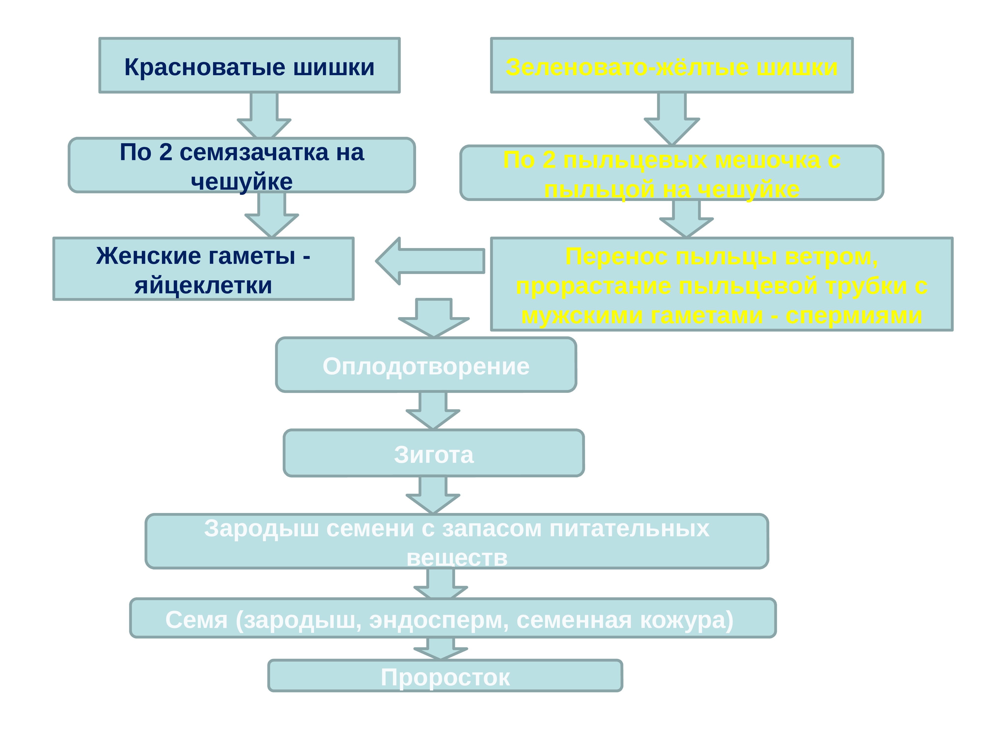 Процессуальная схема производства пыльцевых аллергенов