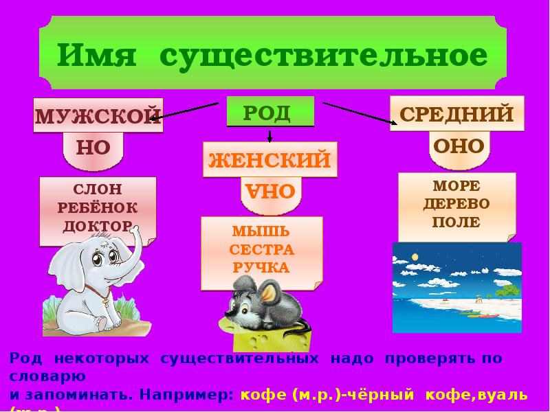 Поле род слова. Существительные надо. Поле какой род. Поле рода. Правила по русскому языку 4 класс части речи.