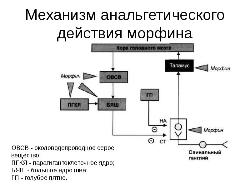 Анальгетические средства фармакология презентация