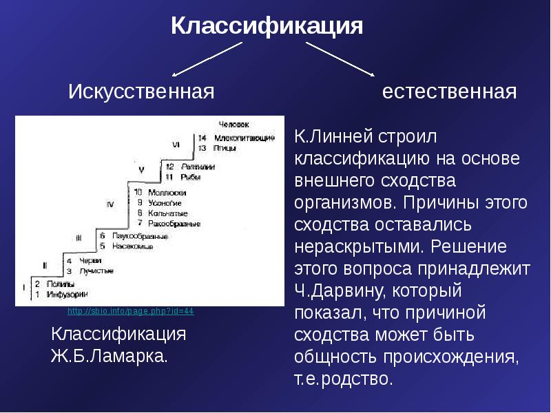 5 класс ознакомление с принципами систематики организмов. Классификация организмов. Искусственная систематика. Общая классификация организмов. Классификация по Линнею.