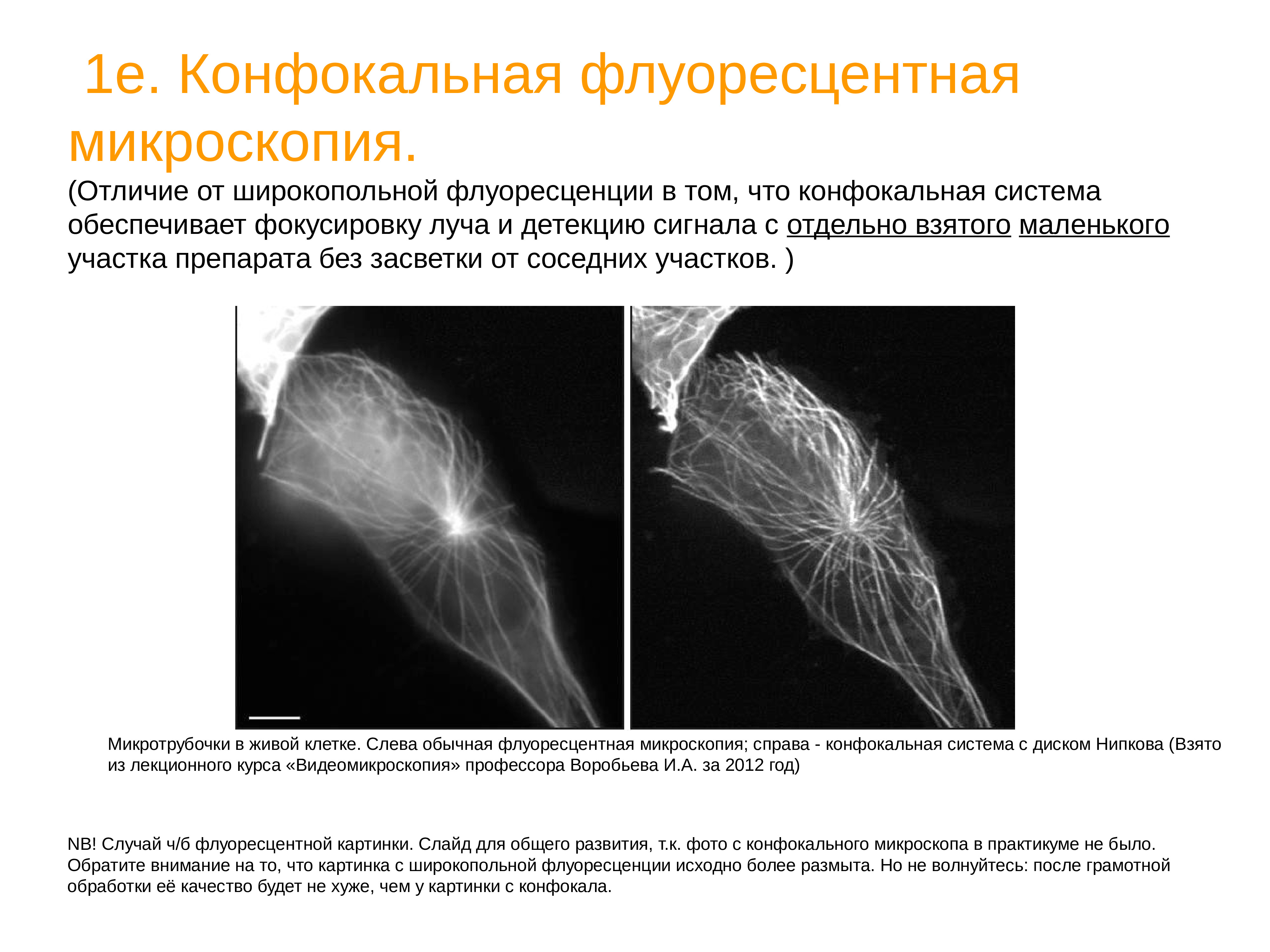 Конфокальная микроскопия. Флуоресцентная и конфокальная микроскопия. Конфокальная флуоресцентная софокусная микроскопия. Конфокальная световая микроскопия это. Конфокальная микроскопия в медицине.