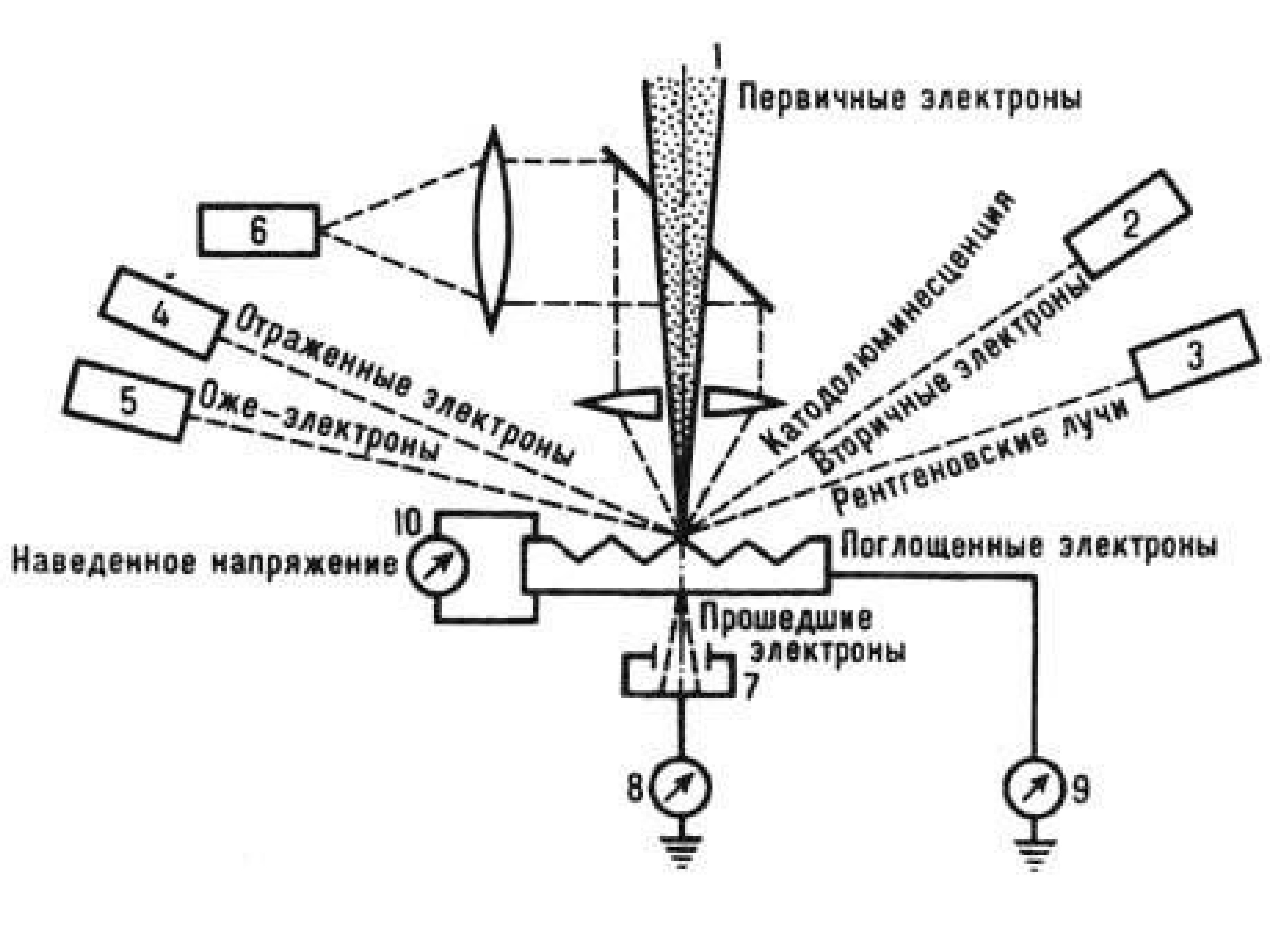 Сканирующий электронный микроскоп схема