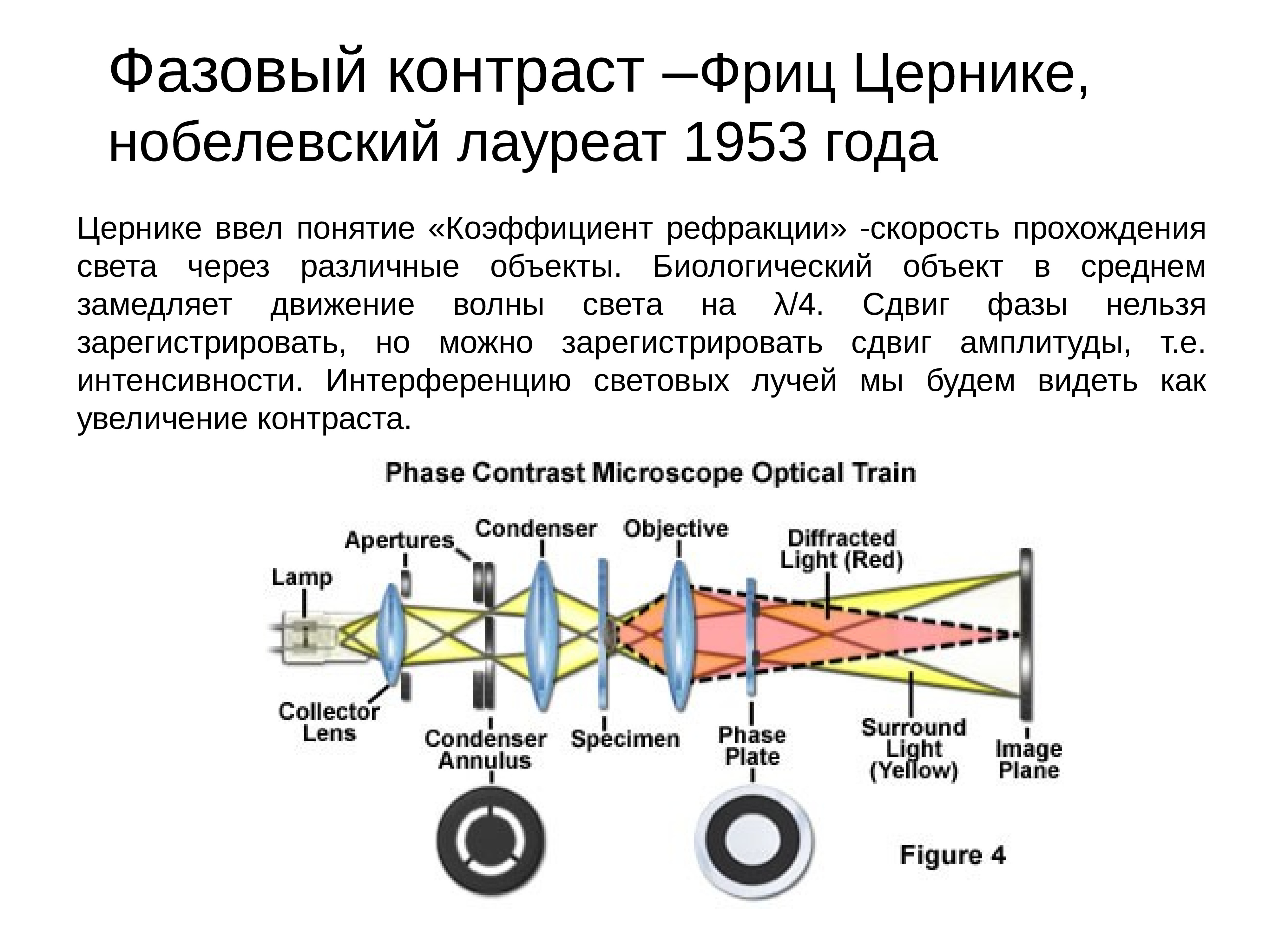 метод фазового контраста