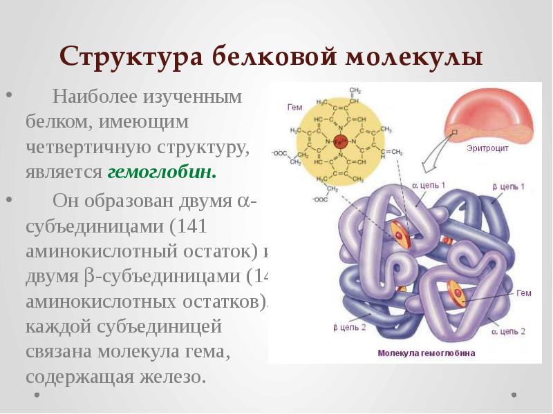 Презентация структура белков