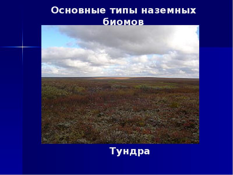 Тип природного биома. Типы наземных биом. Наземные экосистемы (биогеоценоз, биомы).. Перечислите основные биомы наземных экосистем. Основы биомы тундры.