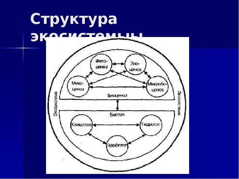 Биосфера биогеоценоз. Функциональная структура биогеоценоза. Понятие Геосистема и экосистема. Структура геосистемы. Структурная схема геосистемы и экосистемы.