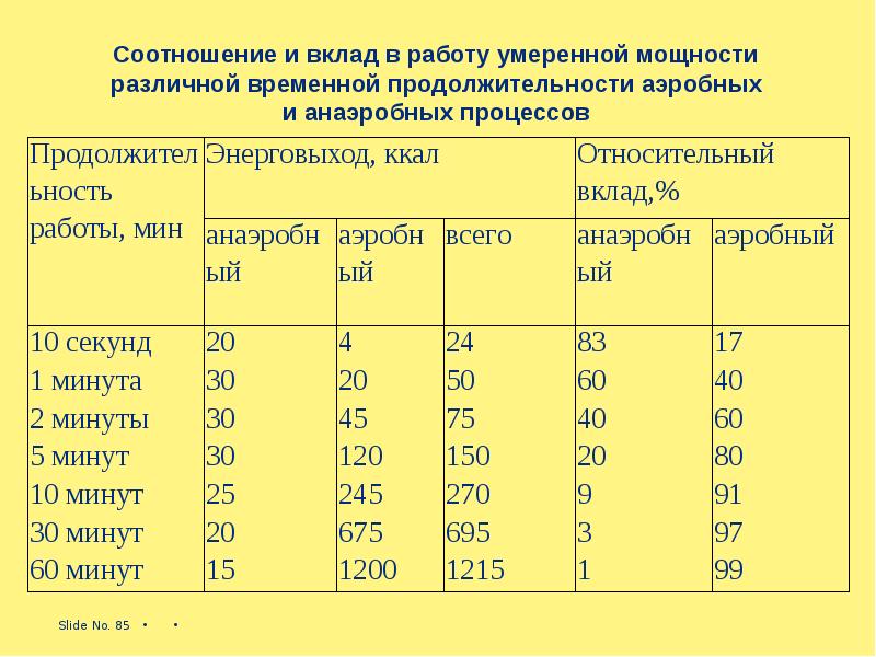 Какова продолжительность ежегодного основного