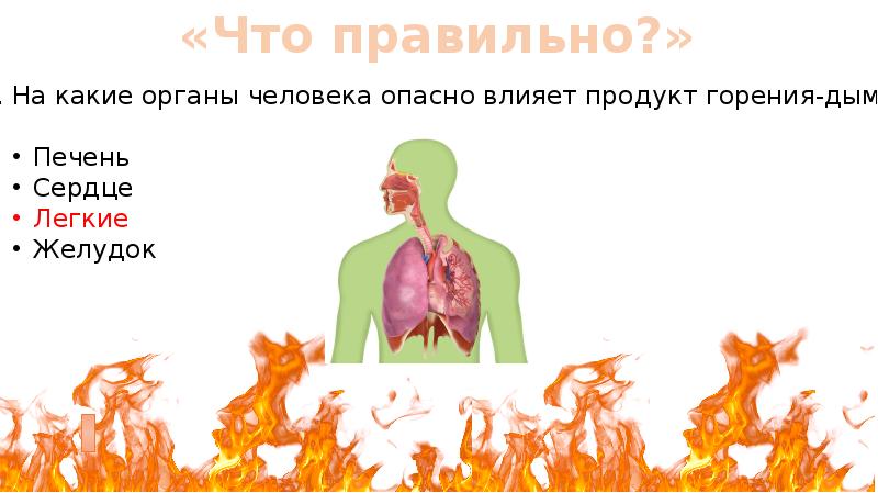 Вредные продукты сгорания. Продукты горения. Продукты горения дым. Влияние продуктов горения на организм человека. На какие органы человека опасно влияет продукт горения – дым?.