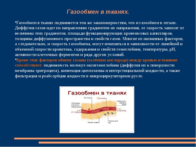 Газообмен в легких и тканях