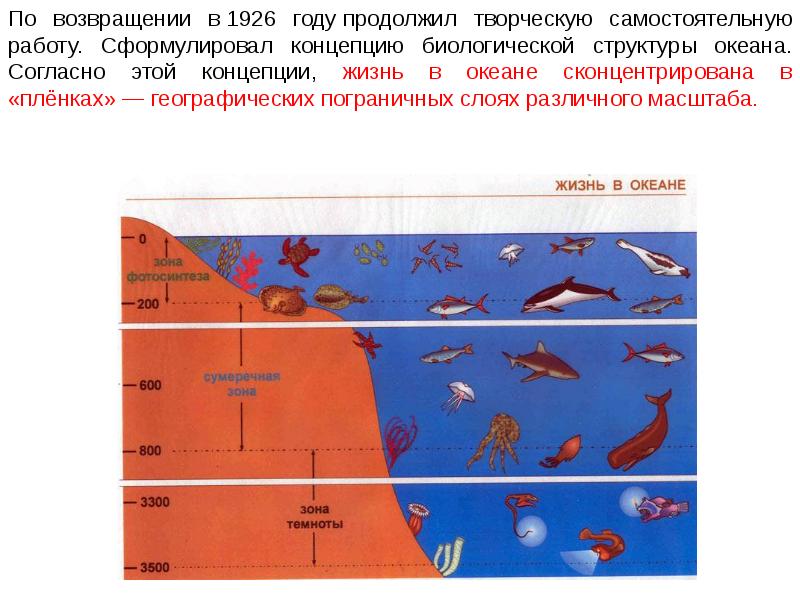 Схема жизнь в океане