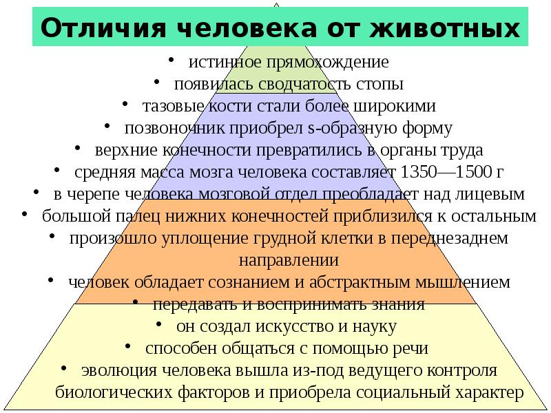 Антропология предмет науки