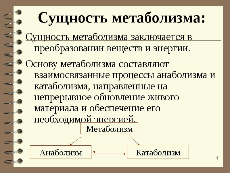 Ассимиляция и диссимиляция метаболизм презентация