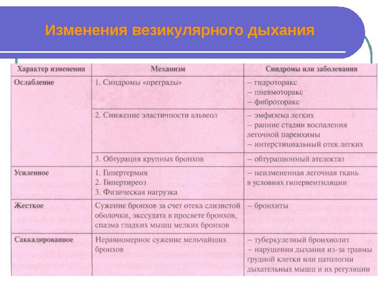 Презентация пропедевтика внутренних болезней дыхательная система