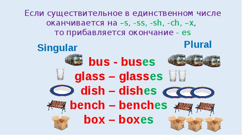 Plural singular nouns 11 класс спотлайт презентация