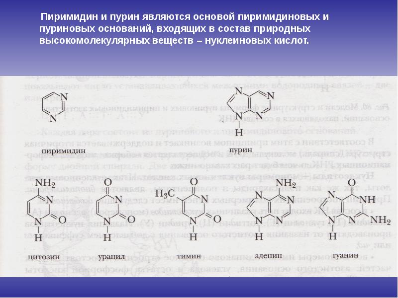 Азотсодержащие гетероциклические соединения нуклеиновые кислоты презентация 10 класс