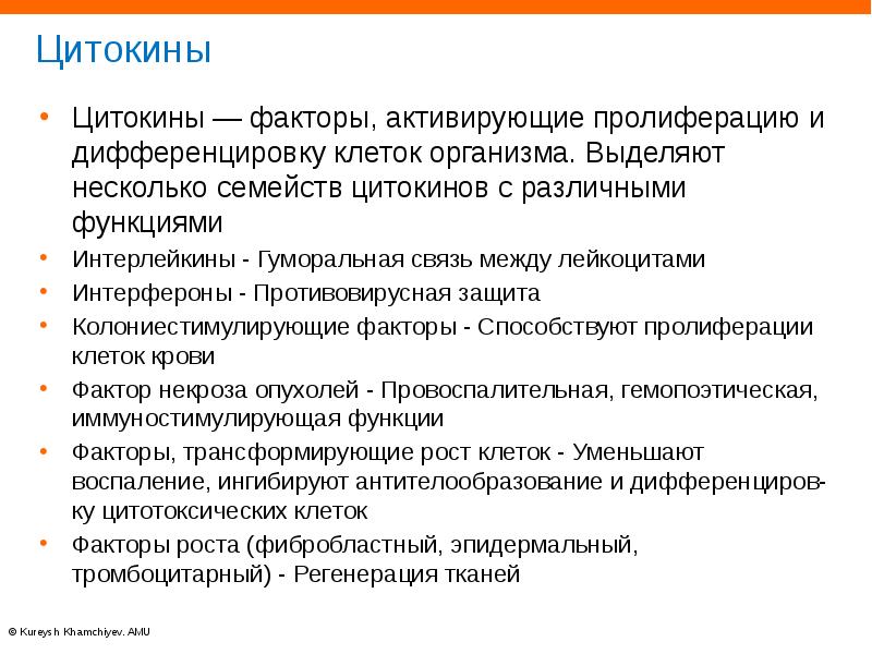 Факторы противовирусной защиты. Колониестимулирующие факторы. Пролиферация клеток. Факторы противовирусной защиты студфайл. Колониестимулирующие факторы иммунология.