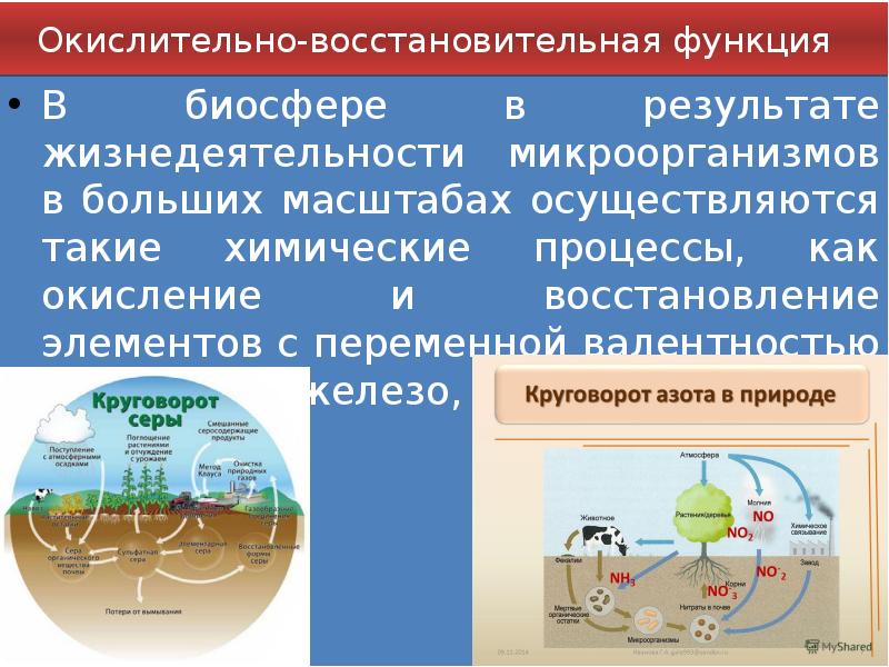 Роль деятельности человека в биосфере презентация