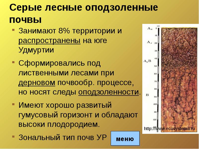 Дерново подзолистые почвы свойства. Дерново оподзоленные почвы. Бурые Лесные оподзоленные почвы. Бурые Лесные почвы. Почвы Удмуртии.