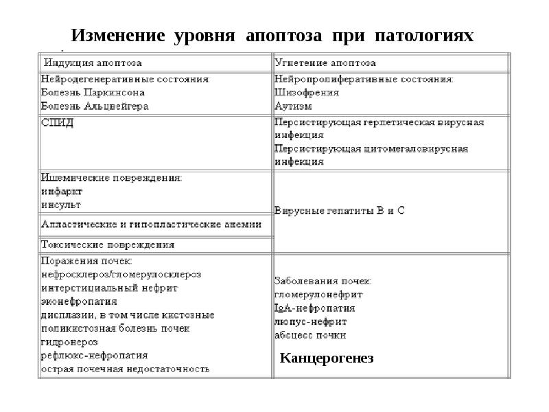 Изменение уровня апоптоза при патологиях