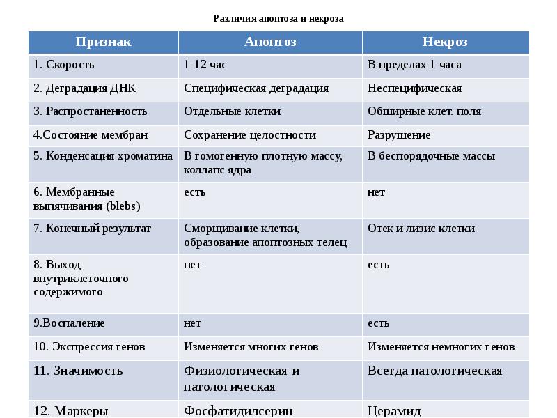 Различия апоптоза и некроза